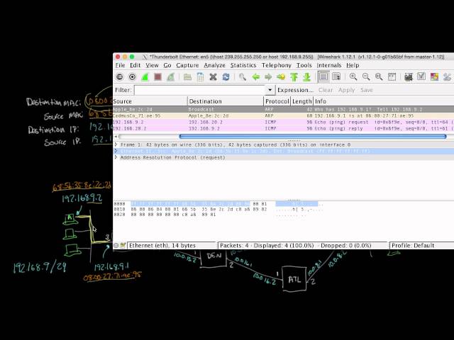 Looking at ARP and ping packets | Networking tutorial (10 of 13)