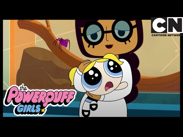 CONFESSION | Powerpuff Girls | Cartoon Network