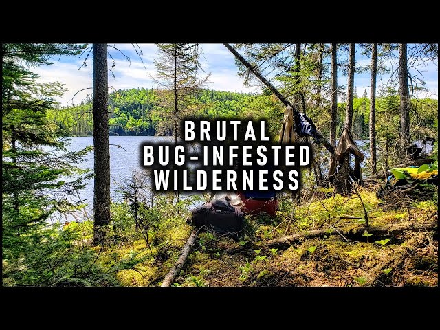 Brutal Wilderness Camping Trip - Trout Fishing and Black Flies