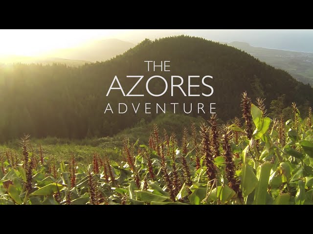 The Azores Adventure