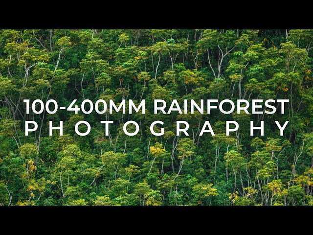 100-400mm Landscape Photography in a Tropical Rainforest