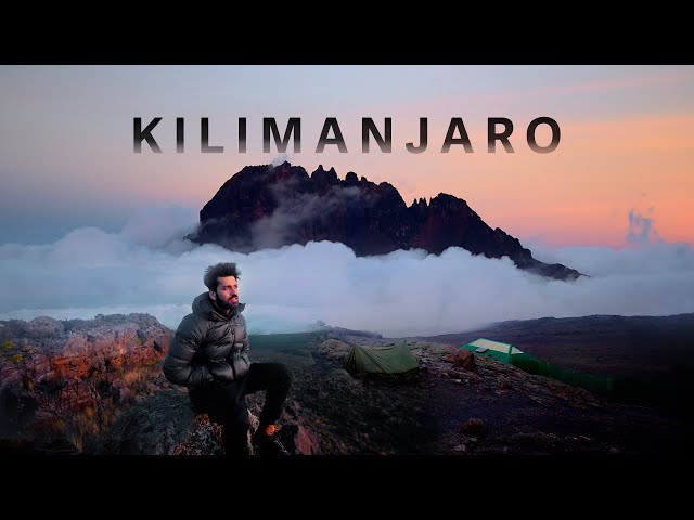 Kilimanjaro - The Moorland Trek | Africa’s Highest Mountain | Tanzania | EP2
