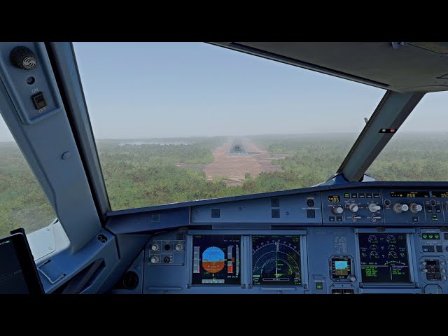 Zihuatanejo MMZH Landing | Fenix A320 | MSFS
