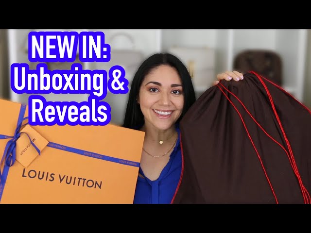 New Goodies: Louis Vuitton, Saint Laurent & Coach