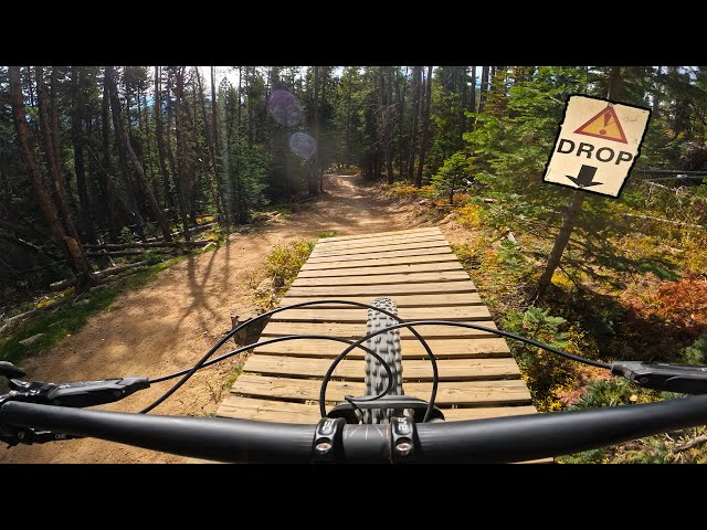 Why No Quarter-to-Free Speech is One of the Best Trails at Trestle Bike Park