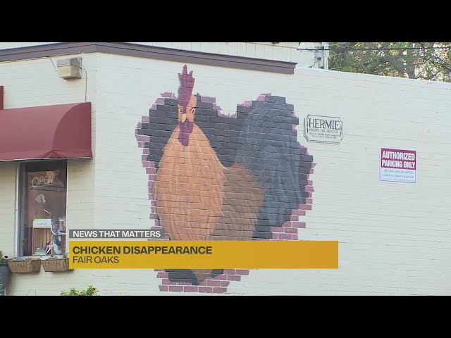 Fair Oaks Village worry about disappearance of chickens