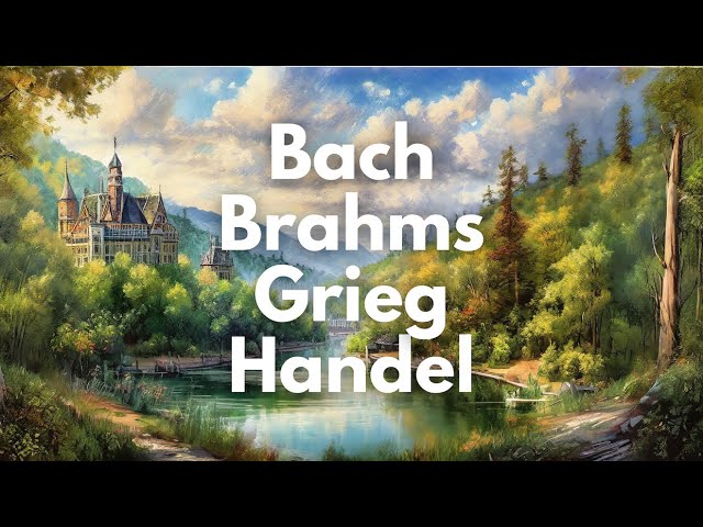 Music for Relaxing and Reading: Classical Music Mix | Bach, Stamitz, Brahms, Handel, Haydn, Grieg