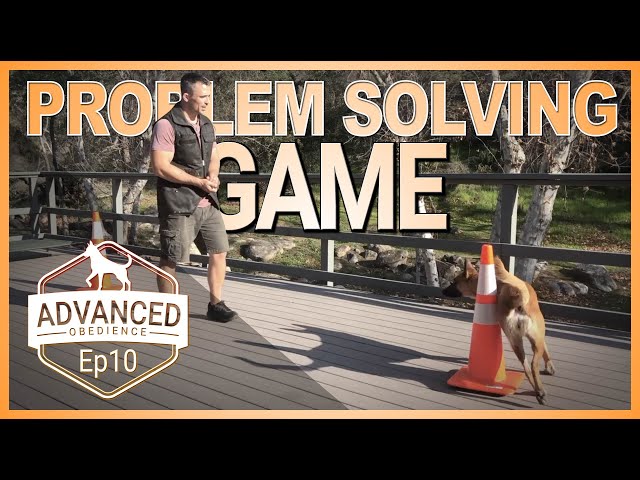 Problem Solving Game for You and Your Dog!