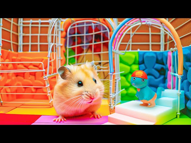 Hamster Faces the Ultimate Challenge in the Most Dangerous Maze in the World 🐹 DIY Hamster Maze