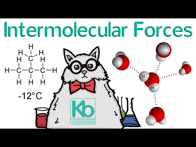 What are Intermolecular Forces?