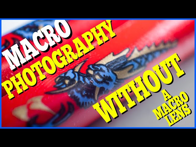 Macro Photography Without a Macro Lens - Home Photography Challenge!
