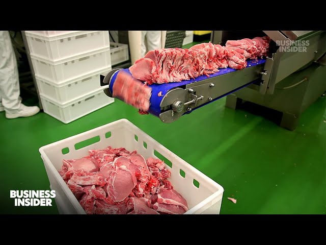 Why Food Recalls Are On The Rise In The US | Business Insider Explains | Business Insider