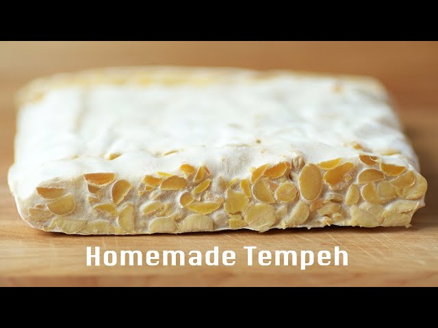 How To Make Healthy And Delicious Homemade Tempeh  @beanpandacook ​