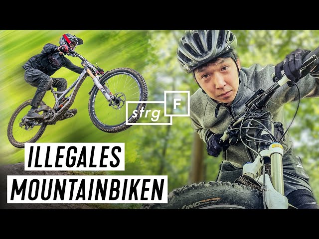 Kampf um den Wald: Förster gegen Mountainbiker | STRG_F