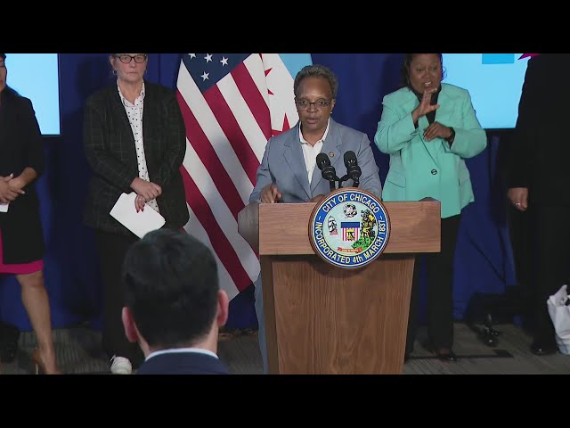 Mayor Lightfoot, Newsmax reporter clash over Chicago crime: 'you've lost control of the city'