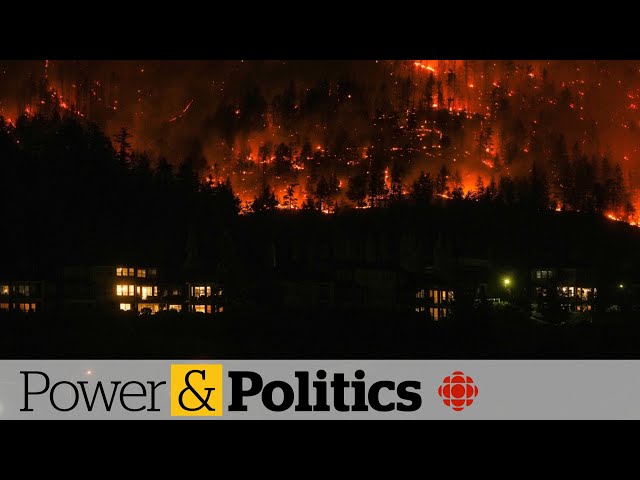 'Significant' number of properties destroyed in West Kelowna wildfires, officials say