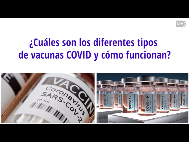 ¿Cuáles son los diferentes tipos de vacunas contra el COVID y cómo funcionan?