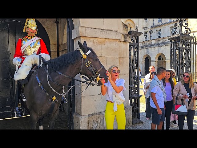 TOURIST PUTS HER WRIST IN THE HORSE'S MOUTH ... then briefly panics for a moment at Horse Guards!