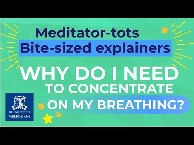 Meditator-tots bite-sized explainers: Why do I need to concentrate on my breathing?