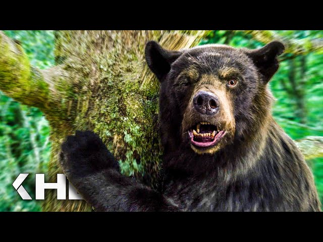 COCAINE BEAR “Abhängige Bären klettern nicht?!” Clips & Trailer (2023) Exklusiv