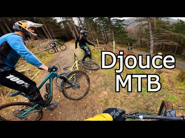 Dry Trails in Winter! Djouce MTB
