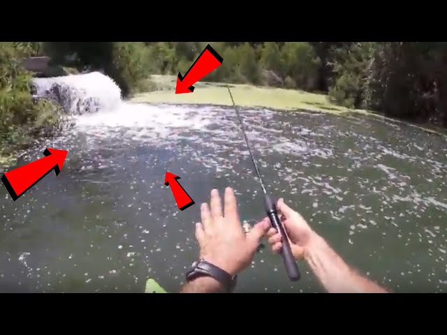 This Urban Spillway is Loaded with Fish!!! San Antonio Fishing Hotspot!