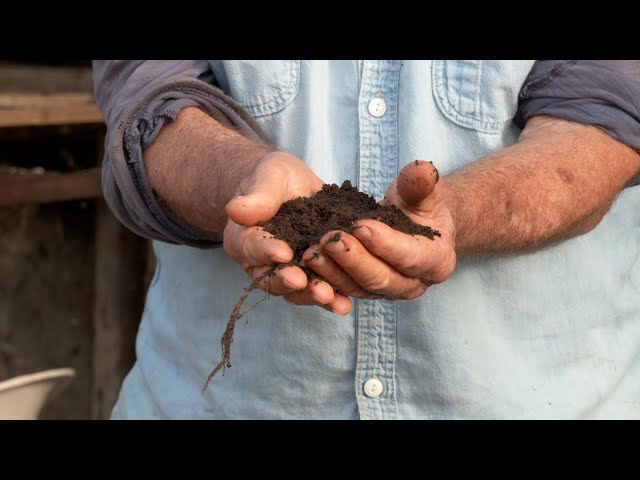Soil Mixes for the Home Gardener