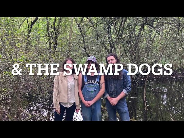 Kaspar & The Swamp Dogs, Showreel
