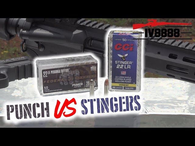 Federal Punch vs CCI Stingers