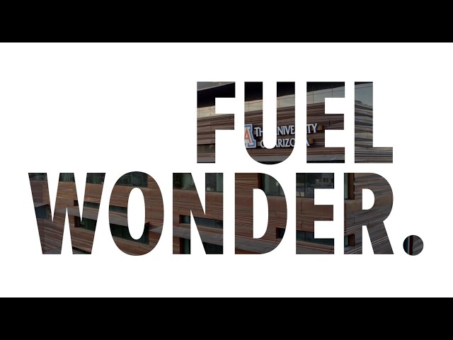 Fuel Wonder