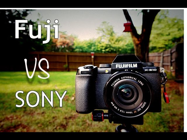 Fuji x-s 10 vs Sony ZV-E10