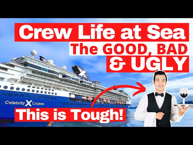 Life at Sea: The Good, Bad, and Ugly of Working on a Cruise Ship
