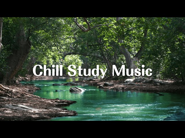 Chill Study Music - lofi hip hop beats