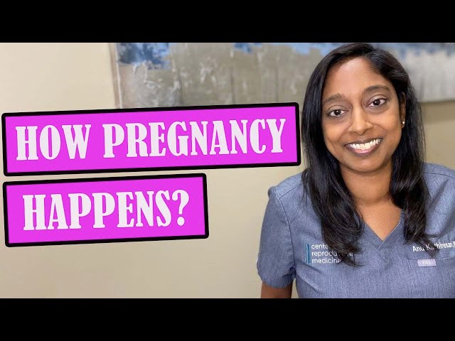 HOW PREGNANCY HAPPENS
