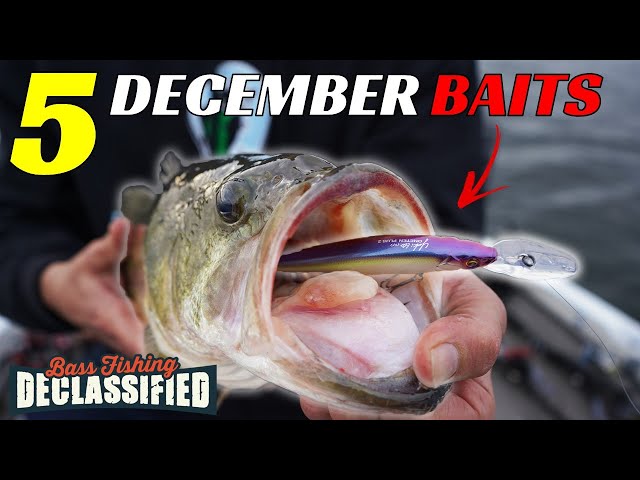 You're Missing Out On This DEADLY December Bait - December Bass Fishing Lures