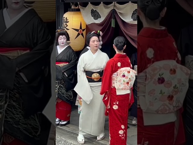ずいき祭のときの上七軒の芸舞妓さんたち #京都 #maiko