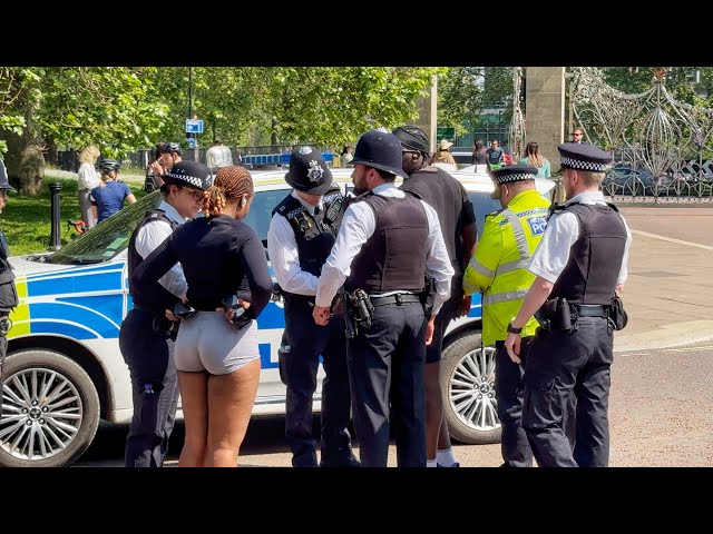 Man Arrested at Royal Park and King's Guard Shouts at A Silly Tourist