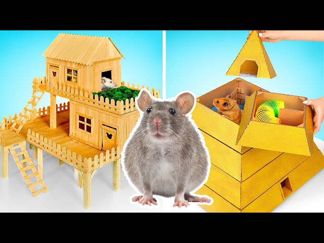 Fun Crafts For Your Pet Rat And Hamster || DIY House And Maze