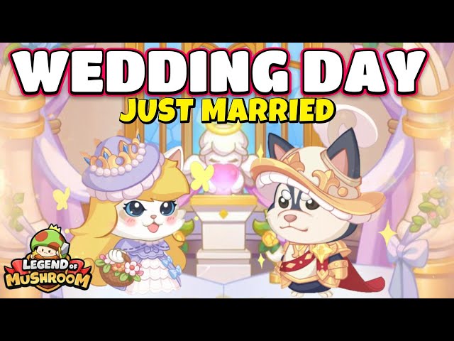 It's Time To Get Married In Legend Of Mushroom!