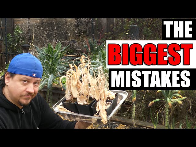 5 Mistakes From My Garden This Year