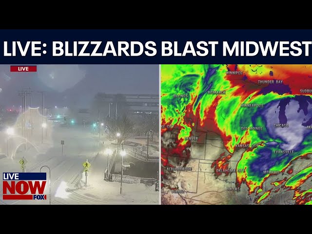 LIVE COVERAGE: Midwest blizzard warning, flights cancelled, schools closed | LiveNOW from FOX