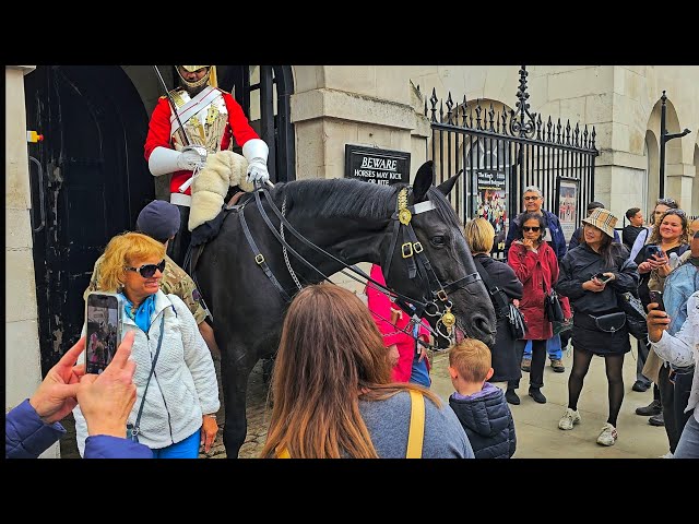 BOY SCREAMS AS MASSIVE HORSE Q10 BITES HIS HEAD! Parents are at fault at Horse Guards!
