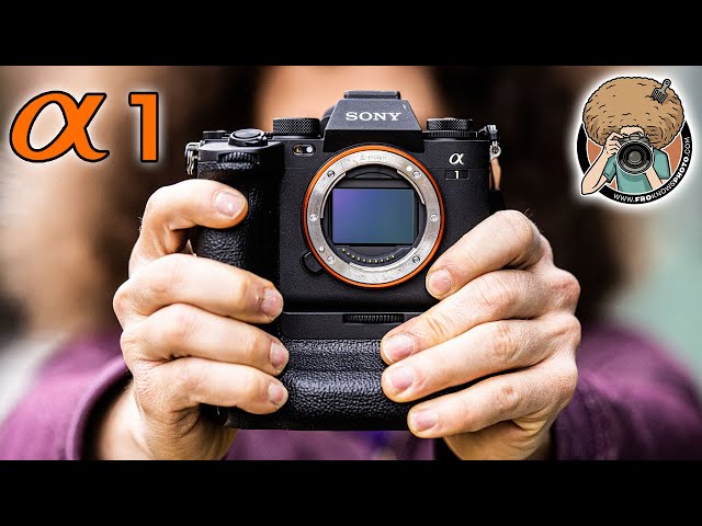 SONY a1 One YEAR Later REVIEW: Why I WON’T Switch to Nikon or Canon…yet