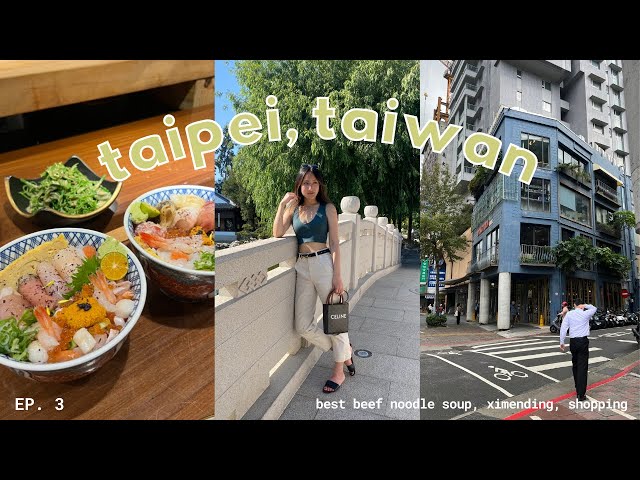 taipei vlog 🇹🇼 | best beef noodle soup, ximending, dessert & pastries | a month in taiwan