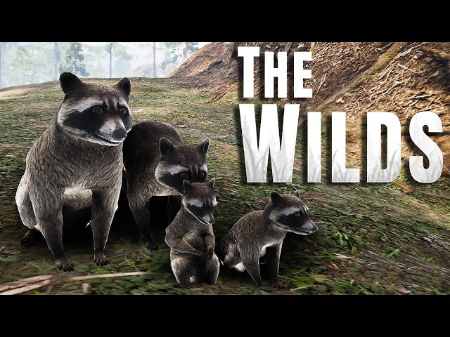 Early Access Raccoon Gameplay! | The Wilds