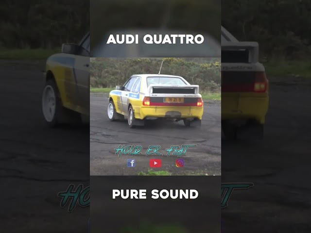 Group B Audi Quattro - Pure Sound!