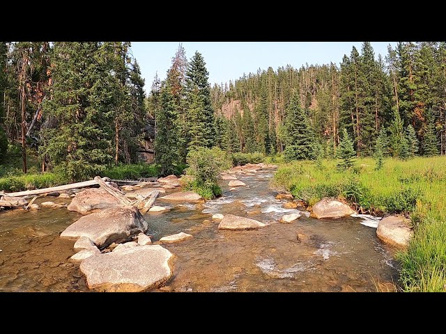 So Many Fish - EPIC END to a 2-month camping road trip - part 40