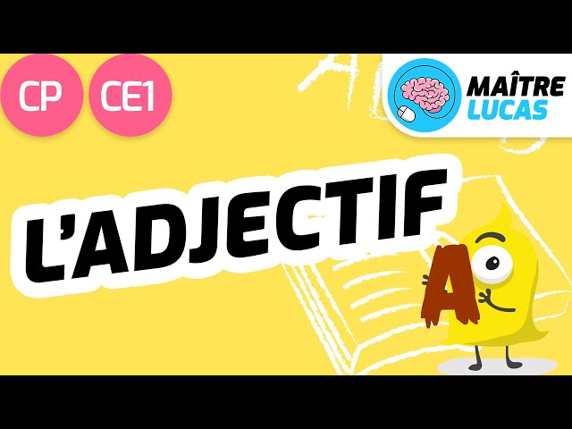 L'adjectif CP - Cycle 2 - Français : Ecriture - FLE