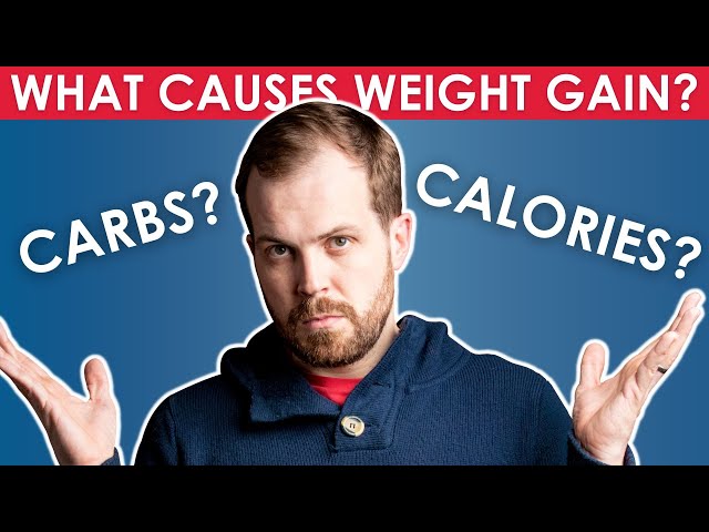 Do carbs make you fat?