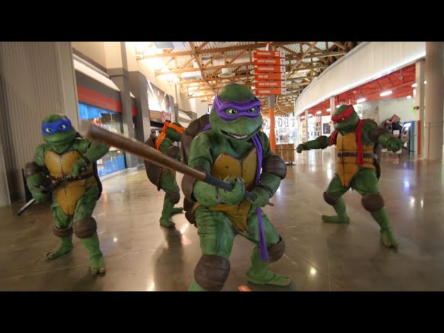 Meeting the Ninja Turtles